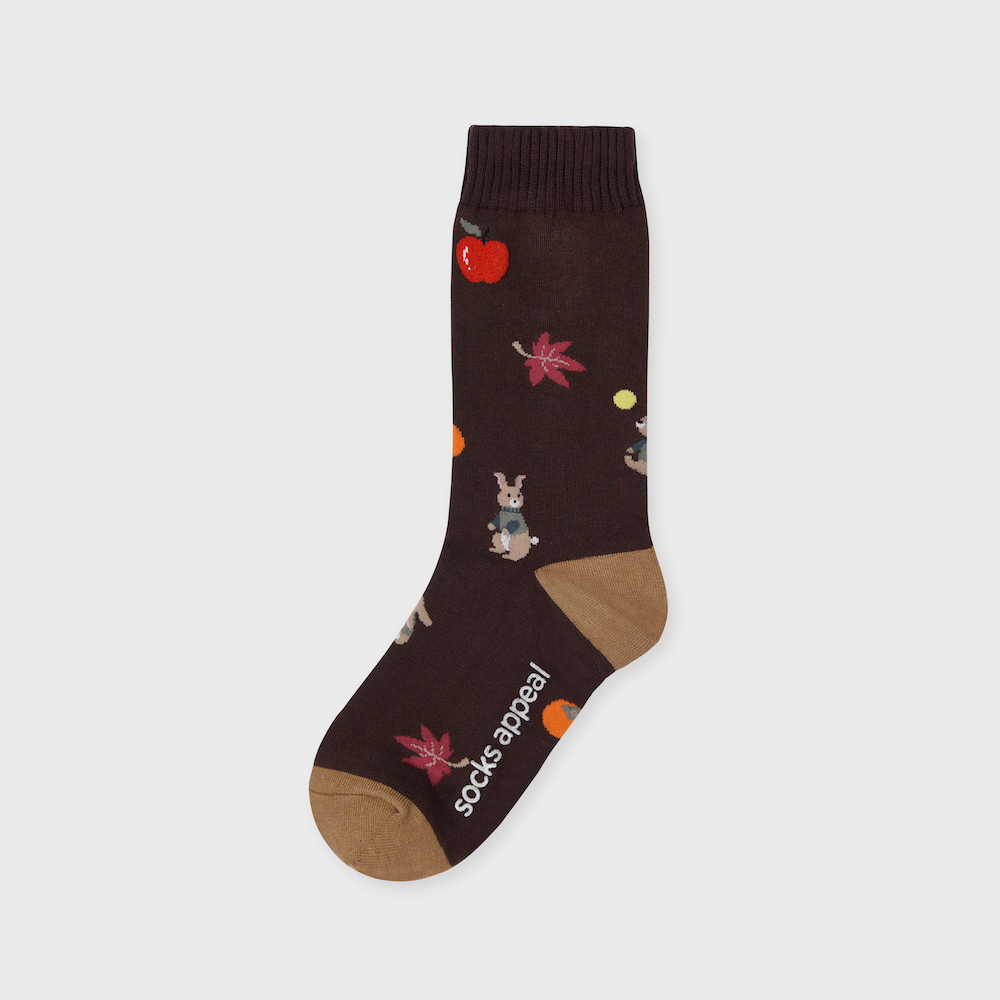 socks chocolate color image-S1L50